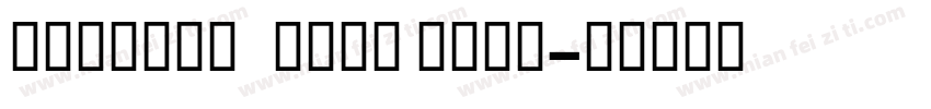 NewtonDOSCTT Bold字体转换